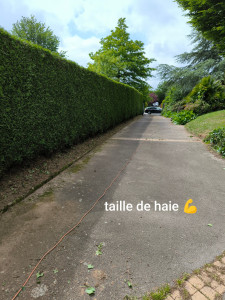 Photo de galerie - Entretien chez un particulier 