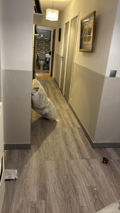 Photo de galerie - Pose de parquet - Revêtement de sol