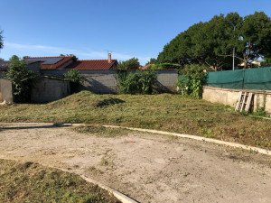 Photo de galerie - Tonte de pelouse - Débroussaillage