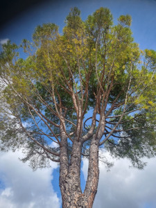 Photo de galerie - ??