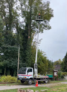 Photo de galerie - élagage d’arbres dangereux avec camion nacelle pour la sécurité