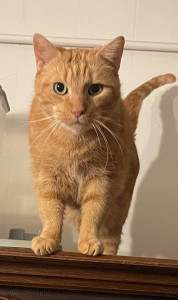 Photo de galerie - Visite à domicile 