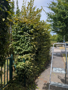 Photo de galerie - Avant 