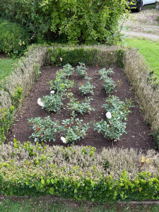 Photo de galerie - Nettoyage de massif 