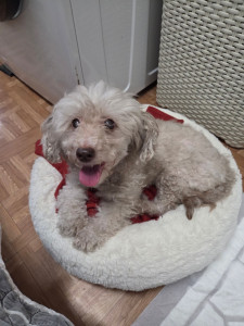 Photo de galerie - Elle est belle, elle est un peu plus âgée?❤️