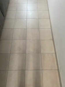 Photo de galerie - Nettoyage décapage remise en état après travaux 