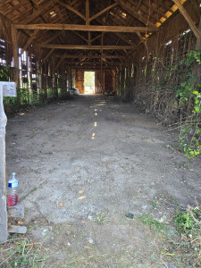 Photo de galerie - Debarasse tout encombrants déchets verts ect maison cave grenier et debarasse toute ferailles 