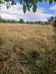 Photo de galerie - Avant le travaille