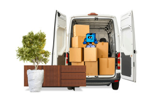 Photo de galerie - Manutention 