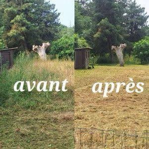 Photo de galerie -  voici une photo après notre intervention chez un client pour une tonte d'herbe d'une surface de 1300 m² travail effectué par nos soins