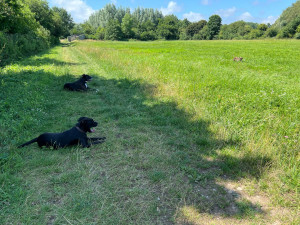 Photo de galerie - 3 beautés en mode vadrouille☺️