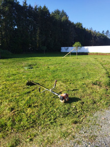 Photo de galerie - Débroussaillage d'un terrain 