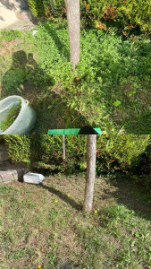 Photo de galerie - Un avant / après 