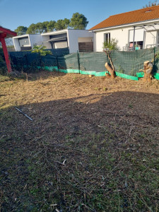 Photo de galerie - Bonjour je propose mais service de taille de haie ramassage de feuilles nettoyage de terrain 