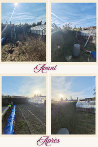 Photo de galerie - Taille de haies et d'arbustes