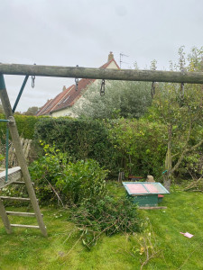 Photo de galerie - Taille de haie