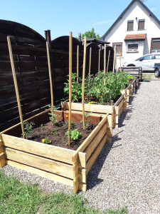 Photo de galerie - Plantation et désherbage manuel d'une allée gravillonnée 