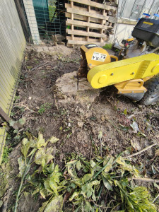 Photo de galerie - Paysagiste - Aménagement du jardin