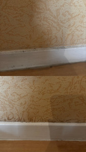 Photo de galerie - Autre exemple 