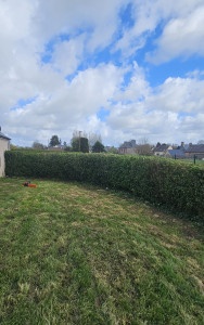 Photo de galerie - APRÈS
remise à niveau d'une haie 