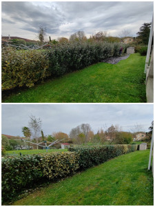 Photo de galerie - Diversifiée 