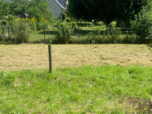 Photo de galerie - Herbe haute de 1m50, pas entretenu depuis très longtemps mais remis au propre ! 