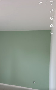 Photo de galerie - Couleur verte sur mur neuf avec rechampis 