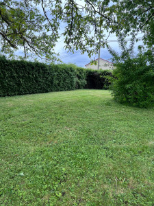 Photo de galerie - Tonte soignée 