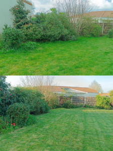 Photo de galerie - Tonte et débroussaillage des abords 