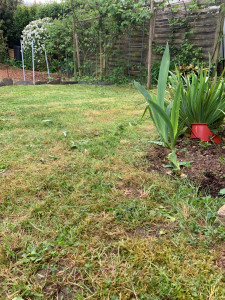 Photo de galerie -  je peux faire une création de massif 