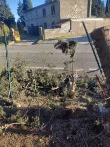 Photo de galerie - Clôture Grillage