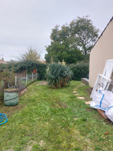 Photo de galerie - Tonte de pelouse - Débroussaillage