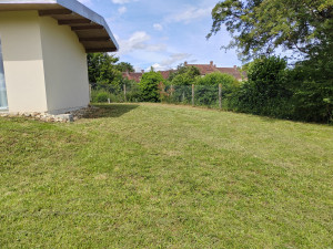 Photo de galerie - Défrichage (après)
