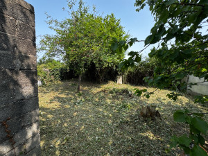 Photo de galerie - Tonte de pelouse - Débroussaillage