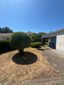 Photo de galerie - Taille d’arbustes