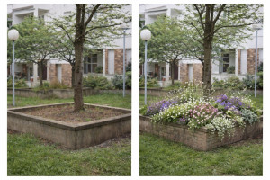 Photo de galerie - Exemple d'une proposition avant/après.