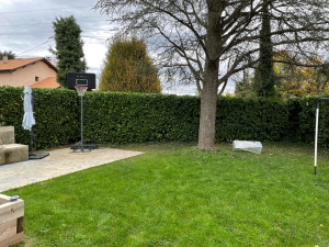 Photo de galerie - Taille de haies et d'arbustes