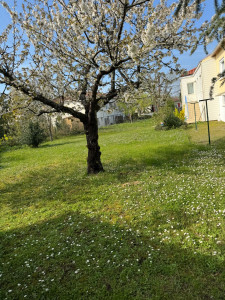 Photo de galerie - Paysagiste 