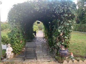 Photo de galerie - Paysagiste - Aménagement du jardin