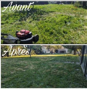 Photo de galerie - Tonte de début de saison.
