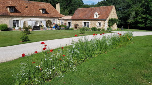 Photo de galerie - Paysagiste - Aménagement du jardin