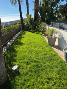 Photo de galerie - Remise en état d’une pelouse 