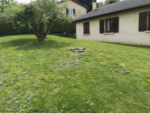 Photo de galerie - Tonte de pelouse 