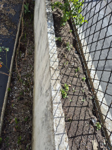 Photo de galerie - Jardinier