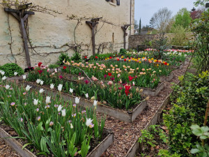 Photo de galerie - Création potager 