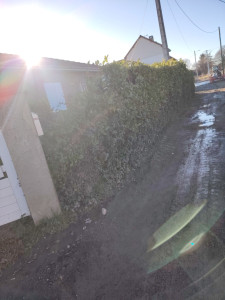 Photo de galerie - Entretiens espace verts 