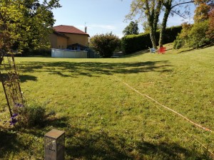 Photo de galerie - Tonte de pelouse - Débroussaillage