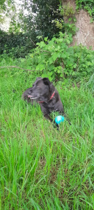 Photo de galerie - Lola