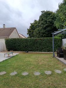 Photo de galerie - Taille de haies et d'arbustes