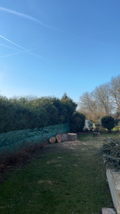 Photo de galerie - Elagage et coupe d'arbres